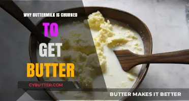 Churning Buttermilk: The Traditional Process to Extract Creamy Butter
