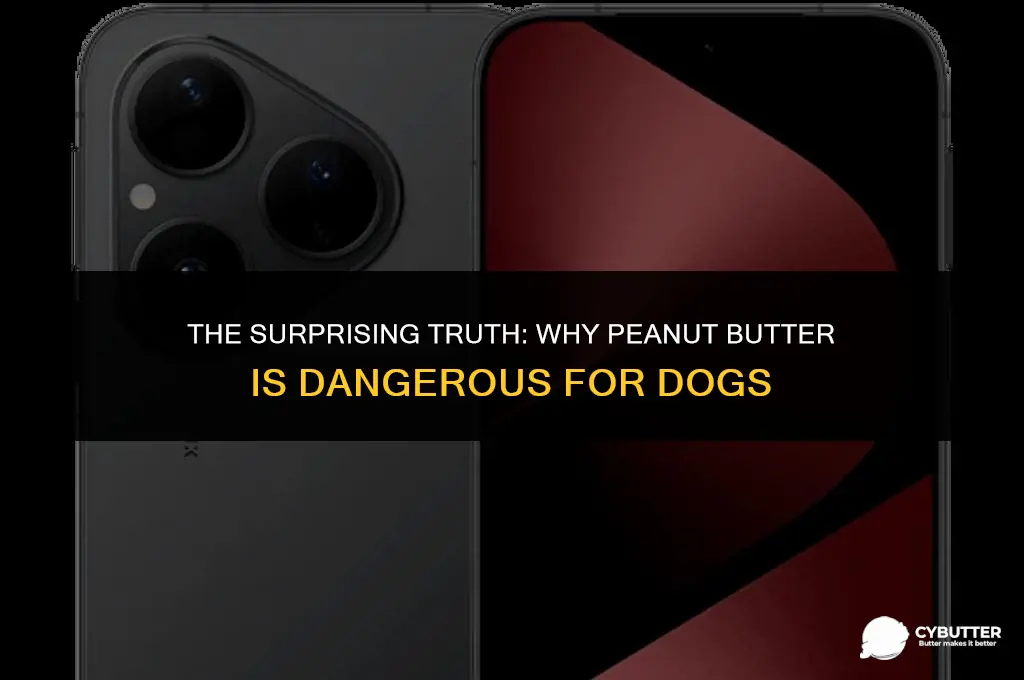 why can