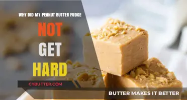 Why Your Peanut Butter Fudge Stayed Soft: Troubleshooting Tips