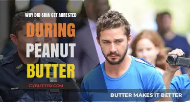 Shia LaBeouf's Arrest: The Peanut Butter Incident Explained