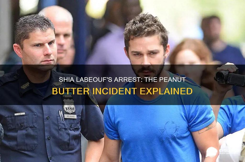 why did shia get arrested during peanut butter