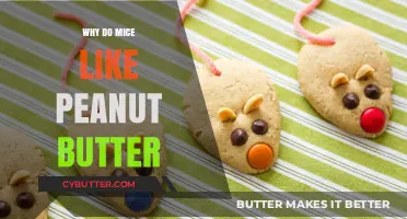 The Irresistible Attraction: Why Mice Can't Resist Peanut Butter