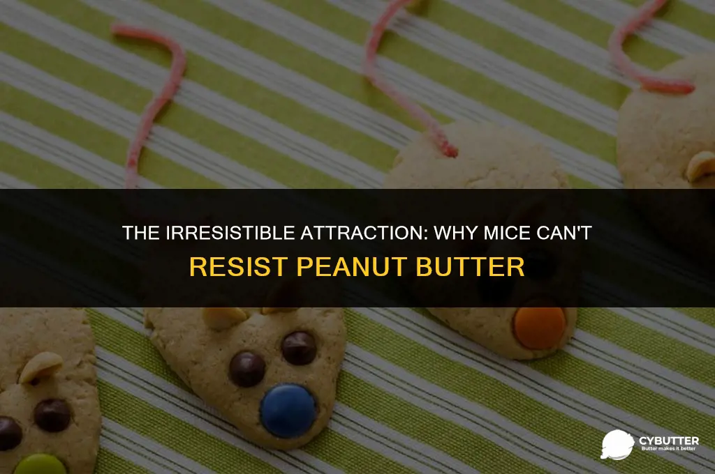 why do mice like peanut butter