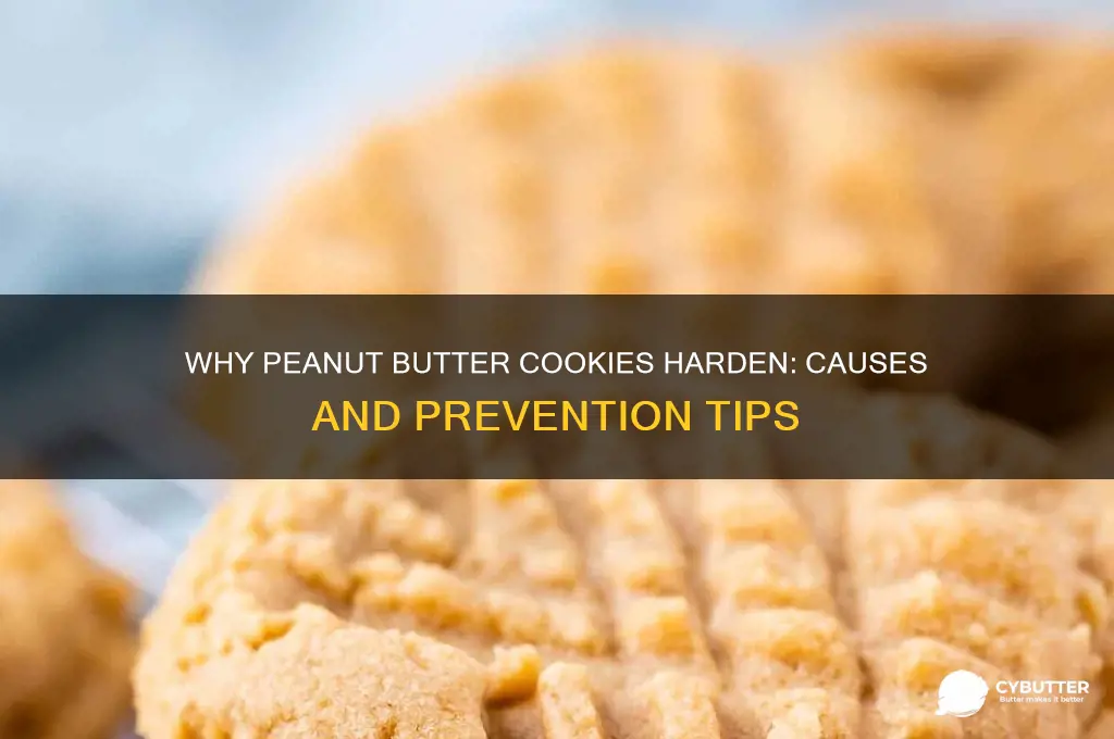 why do peanut butter cookies get hard