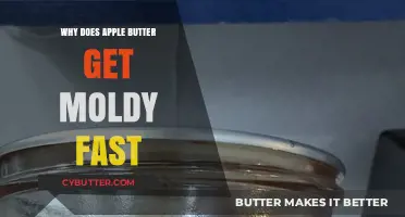 Preventing Mold: Why Apple Butter Spoils Quickly and How to Stop It