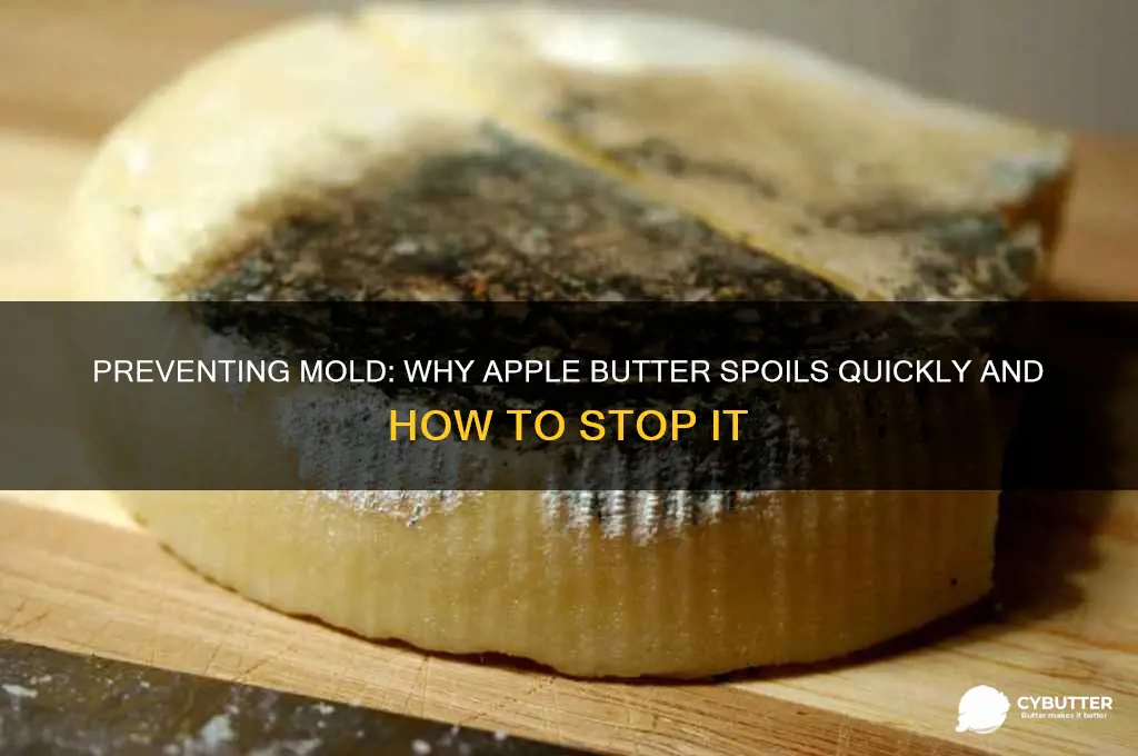 why does apple butter get moldy fast