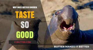The Irresistible Flavor of Butter Chicken: A Culinary Delight