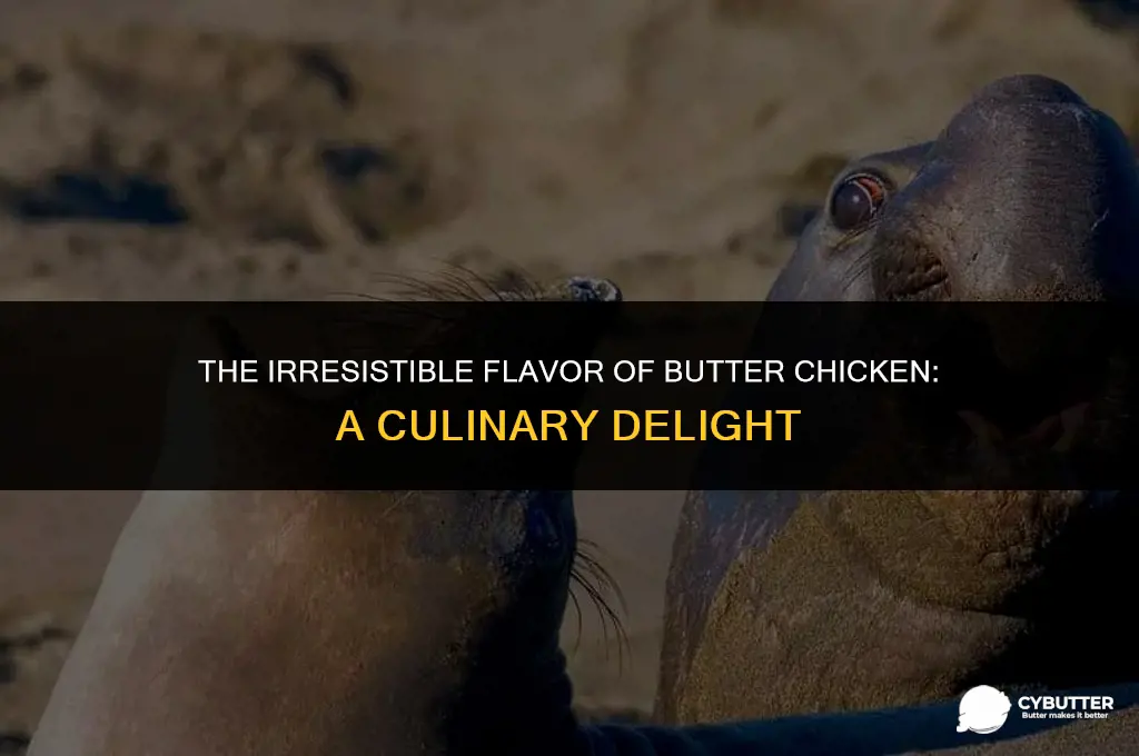 why does butter chicken taste so good
