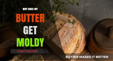 Preventing Moldy Butter: Storage Tips to Keep It Fresh Longer