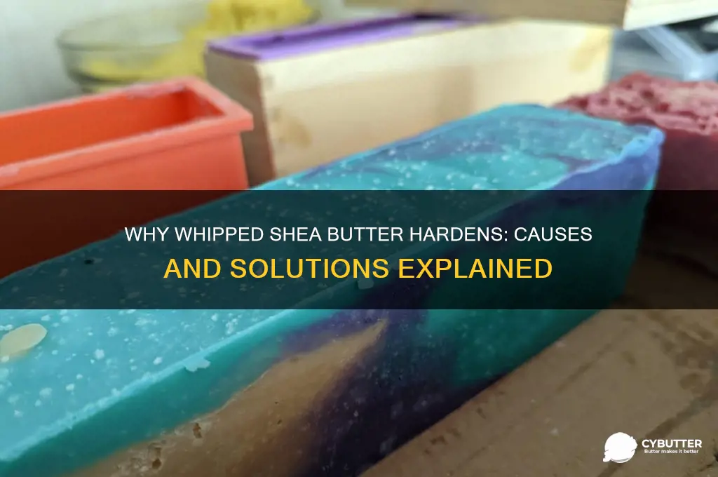 why does my whipped shea butter get hard