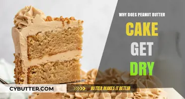 Why Peanut Butter Cakes Dry Out: Causes and Prevention Tips