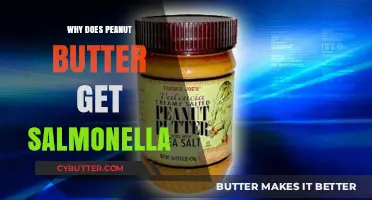 Why Peanut Butter Can Harbor Salmonella: Risks and Prevention Tips
