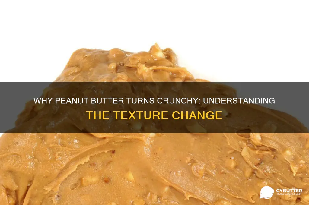 why does peanut butter start getting crunchy