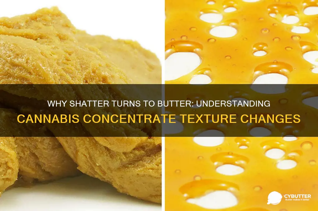 why does shatter get butter