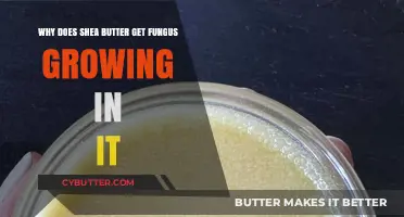 Preventing Fungal Growth in Shea Butter: Causes and Solutions