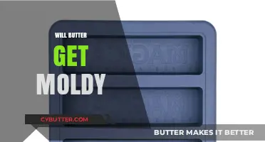 Does Butter Mold? Understanding Its Shelf Life and Storage Tips