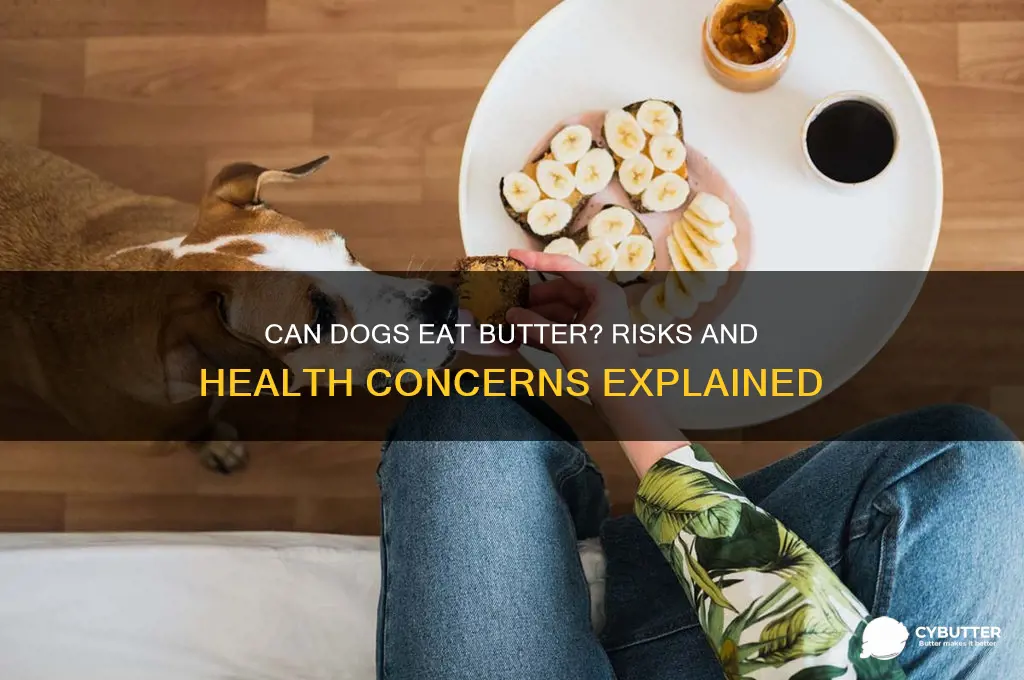 will my dog get sick from eating butter