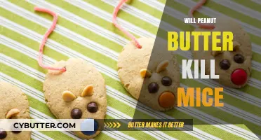 The Lethal Scoop: Peanut Butter's Surprising Impact on Mice