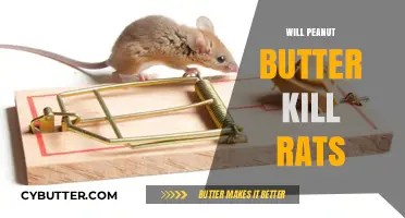 The Lethal Truth: Can Peanut Butter Really Kill Rats?