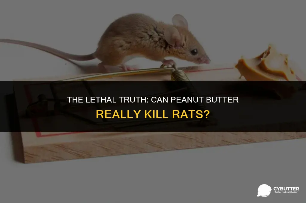 will peanut butter kill rats