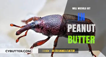 Preventing Weevils in Peanut Butter: Effective Storage Tips and Solutions